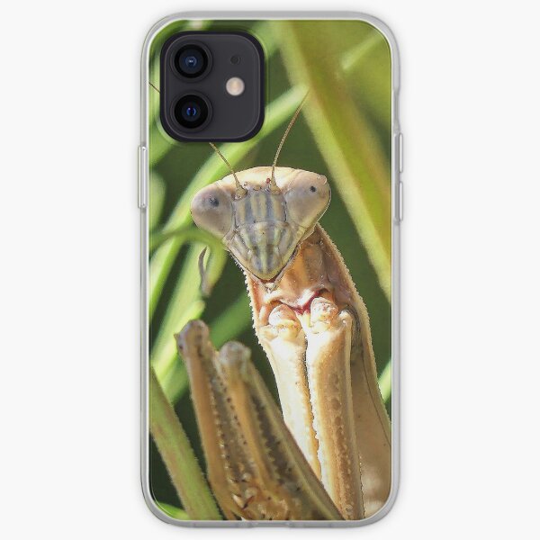Praying Mantis iPhone Soft Case