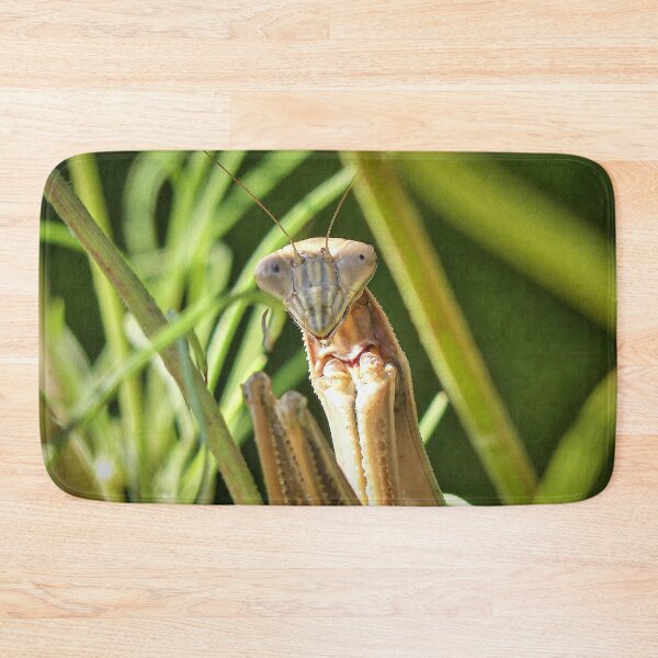 Item preview, Praying Mantis designed and sold by Frankie Cat Photography.