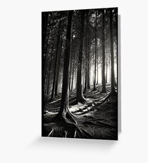 Bucknell Forest Greeting Card