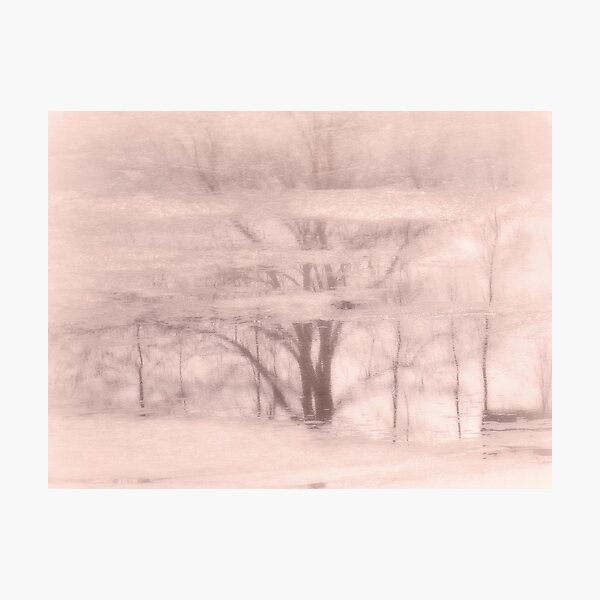 Winter reflections in rose Photographic Print