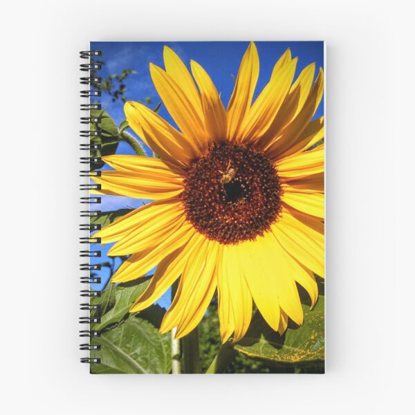 Artikelvorschau, Sommer Sonnenblume entworfen und verkauft von brusling.