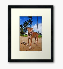 All in a day’s play Framed Print