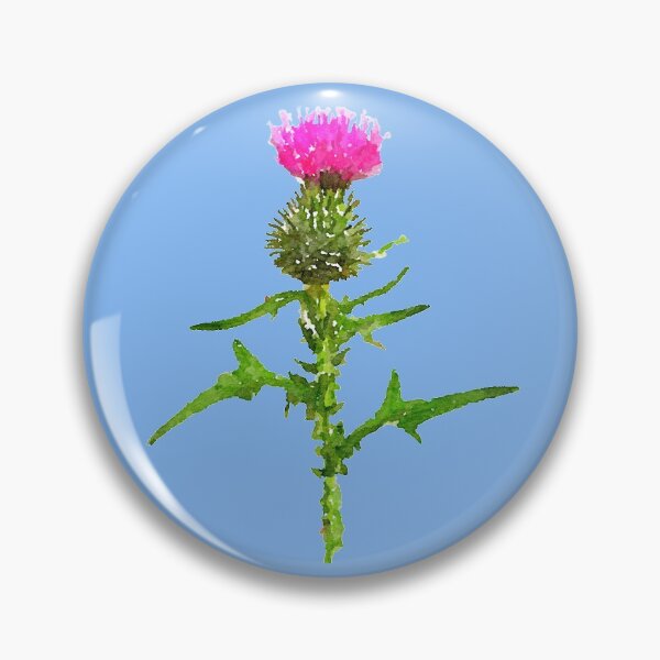 Item preview, Thistle, Scottish National Flower designed and sold by sillybanana.