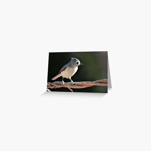 Item preview, Tufted titmouse designed and sold by Linda Crockett.