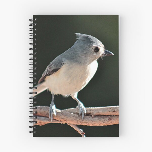 Item preview, Tufted titmouse designed and sold by Linda Crockett.