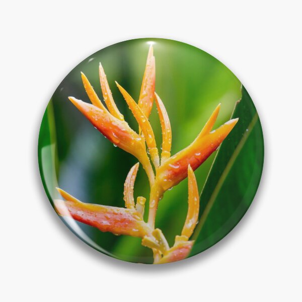 Item preview, Tropical Heliconia Floral Photography designed and sold by WheresMyMojo.