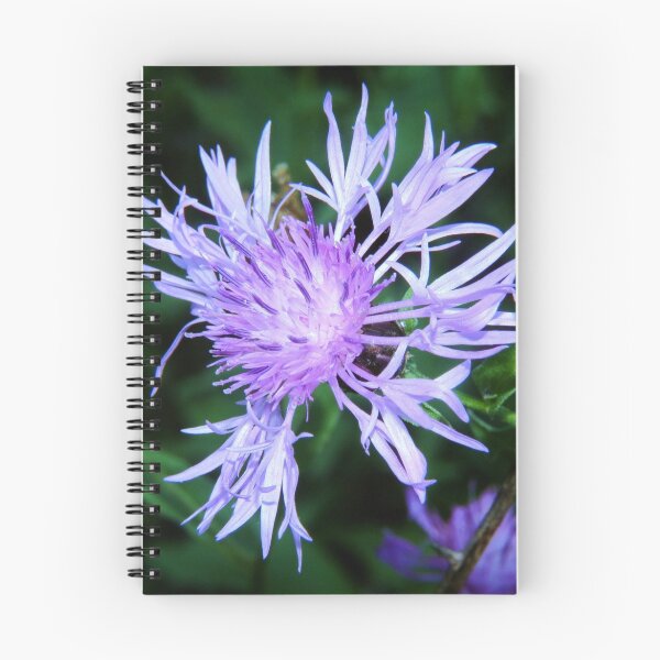 Item preview, Spotted Knapweed Up Close designed and sold by Ron Russell.