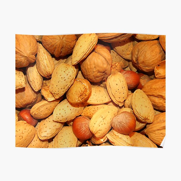 Aw, NUTS! Poster