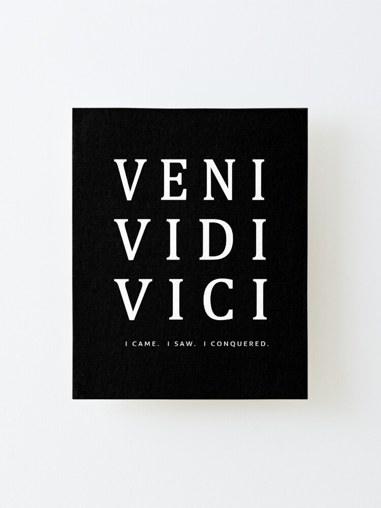 veni vidi vici i came i saw i conquered veni vidi vici i came i saw i conquered