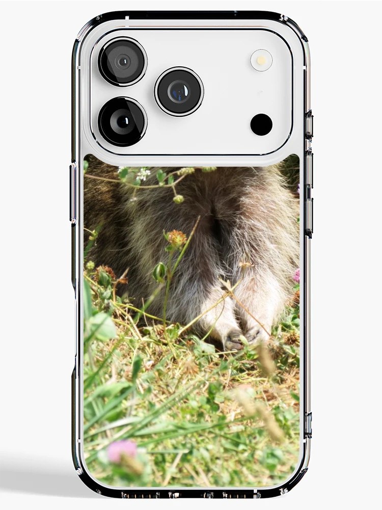 Thumbnail 1 of 5, iPhone Case, Young Racoon designed and sold by Ron Russell.