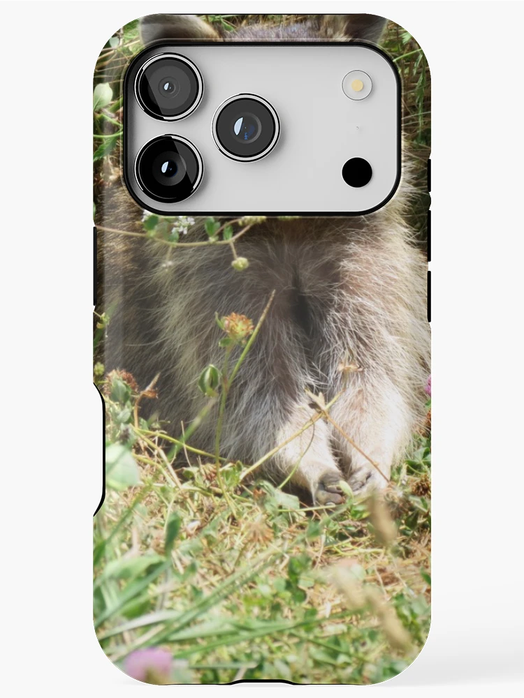 Thumbnail 1 of 4, iPhone Case, Young Racoon designed and sold by Ron Russell.