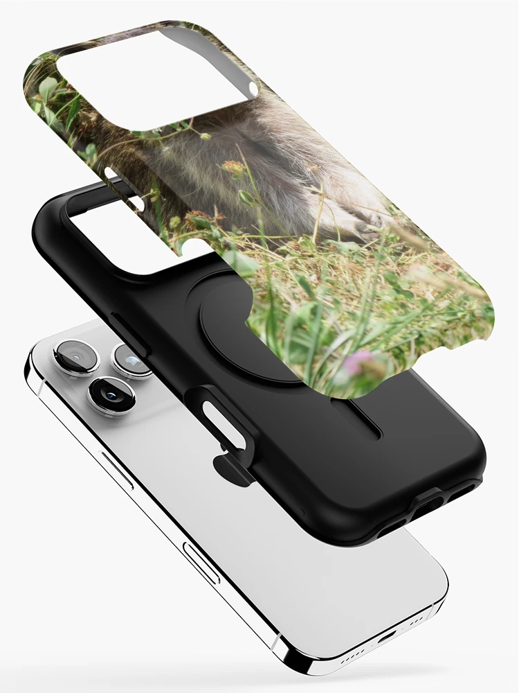 Thumbnail 2 of 4, iPhone Case, Young Racoon designed and sold by Ron Russell.
