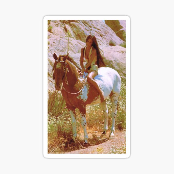 Cher Sticker