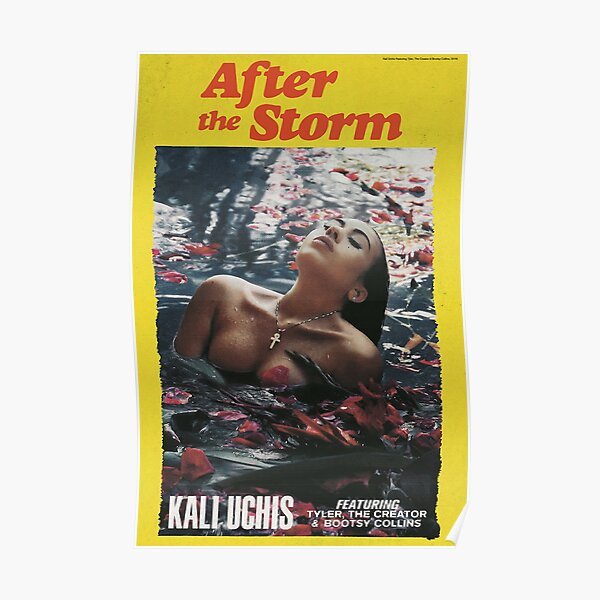 After The Storm Posters Redbubble