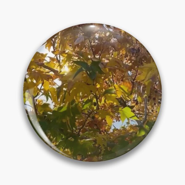 Item preview, When the leaves start to turn designed and sold by georgeanne52.