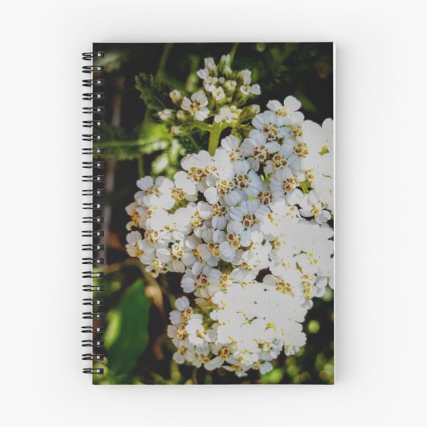 Item preview, Wild Yarrow designed and sold by brusling.