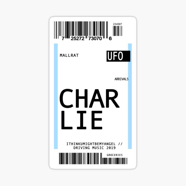 mallrat charlie plane ticket Sticker