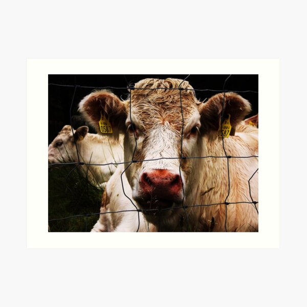 Up Close And Personal Art Print
