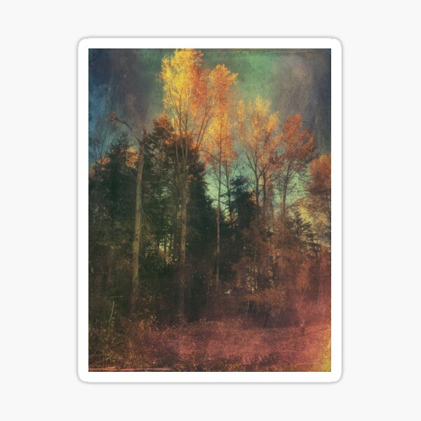 Paint the Sky Sticker