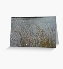 water Greeting Card
