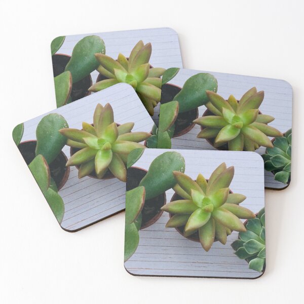 Item preview, Succulents designed and sold by Megan Nicole Czerwinski.