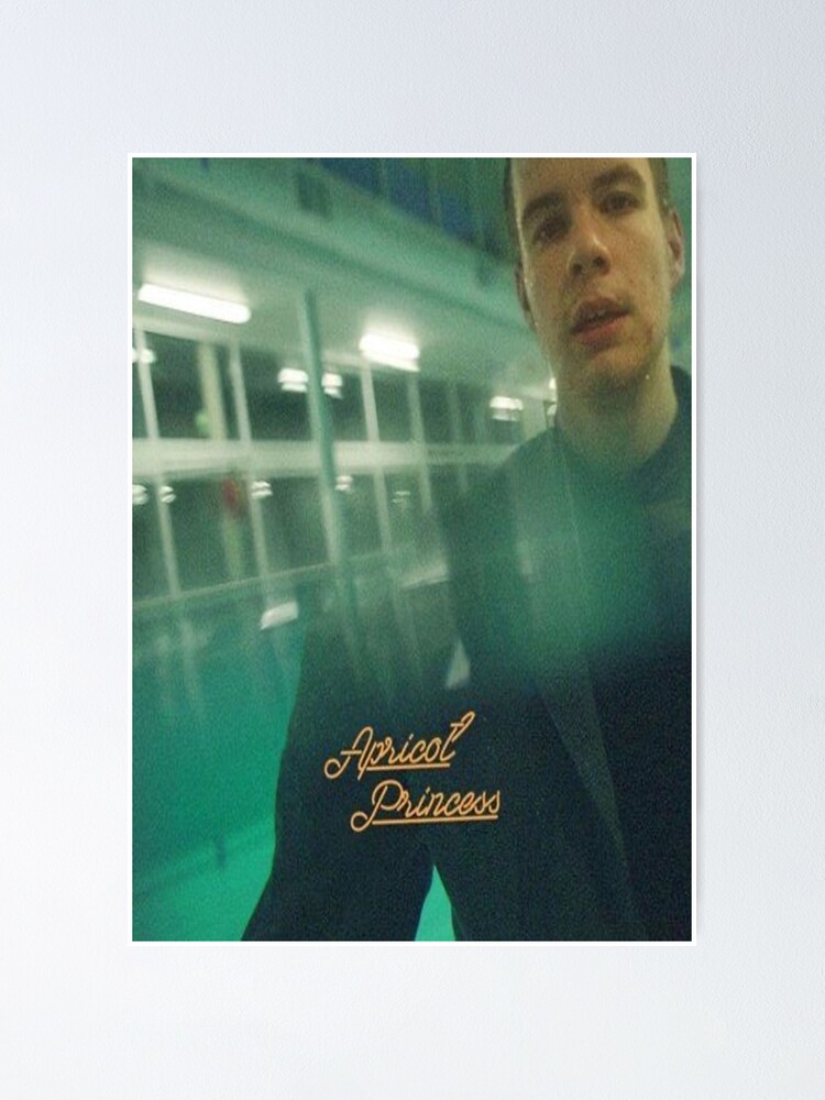 rex orange county apricot princess merch