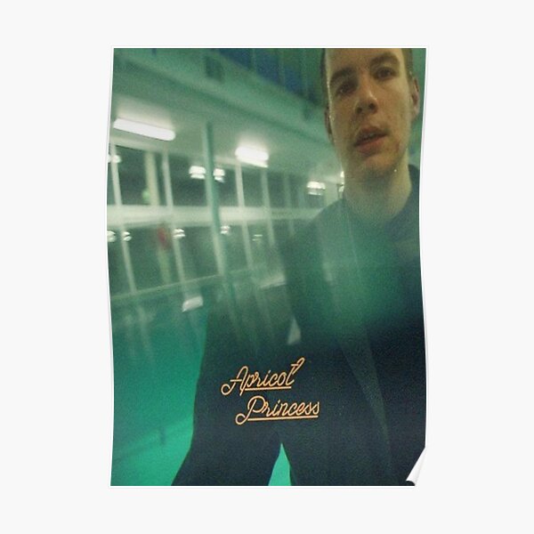 Póster del álbum de la "princesa albaricoque" rex orange county Póster