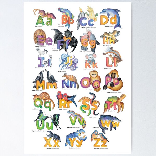 Animaux Lettres Poster - Posters éducatifs enfants