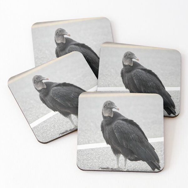 Item preview, American black vulture designed and sold by SDym Photography.