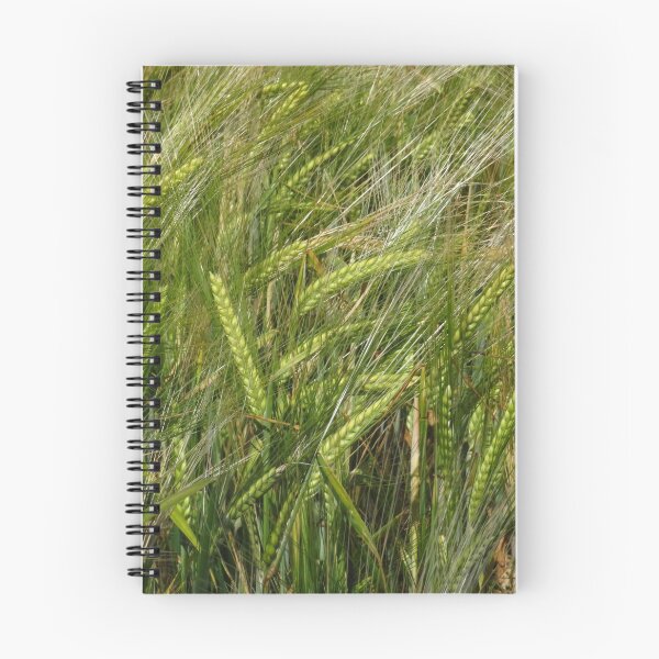 Item preview, Barley designed and sold by wiggyofipswich.