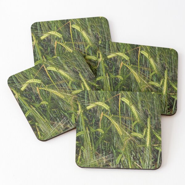 Item preview, Barley (2) designed and sold by wiggyofipswich.