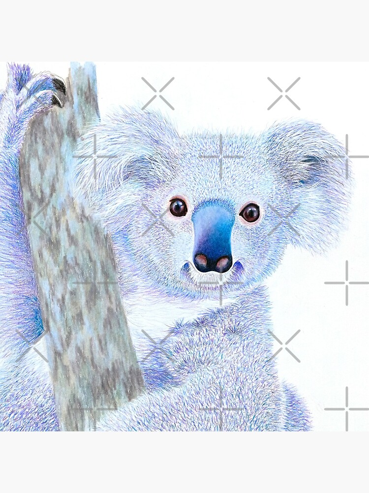 Artwork view, Koala designed and sold by Nicole Grimm-Hewitt