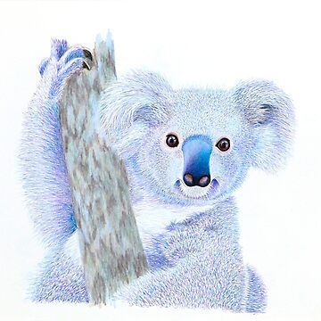 Artwork thumbnail, Koala by Nicole Grimm-Hewitt