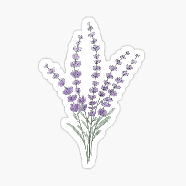 Artikel-Vorschau von Lavendel-Bündel, designt und verkauft von Yayagains.