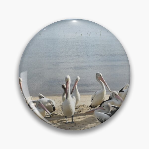 Item preview, Pelicans on a sandy beach designed and sold by Artlajf.