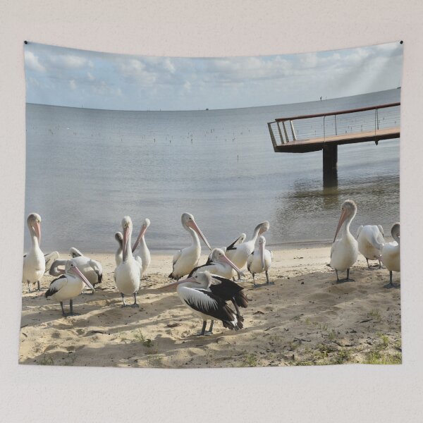 Item preview, Pelicans on a sandy beach designed and sold by Artlajf.