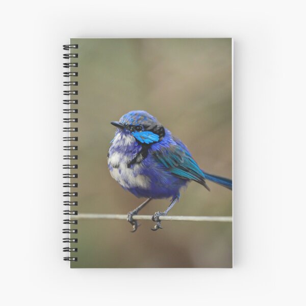 Item preview, Fairy Wren on a wire fence. designed and sold by Coen-87.