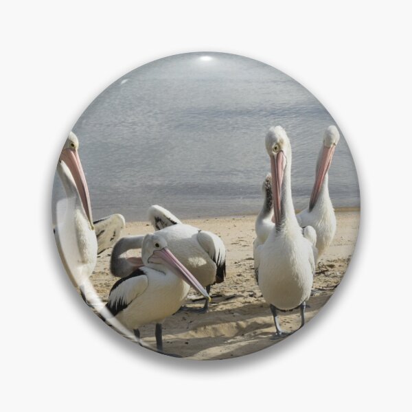 Item preview, Pelicans on a sandy beach II designed and sold by Artlajf.
