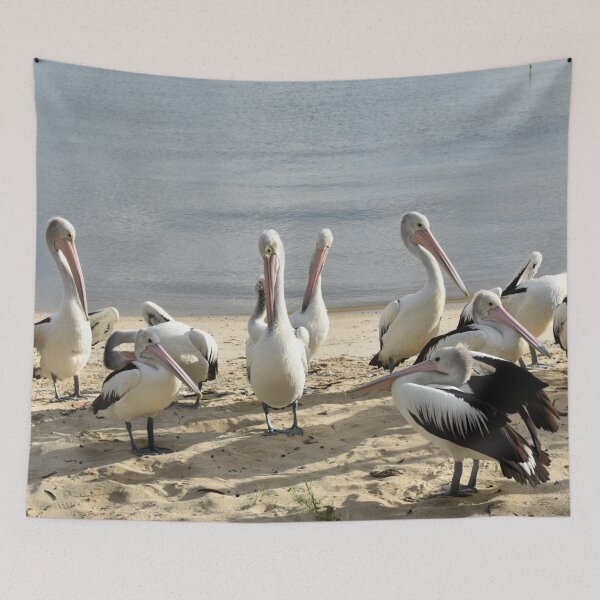 Item preview, Pelicans on a sandy beach II designed and sold by Artlajf.
