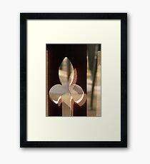 Screen door Framed Print