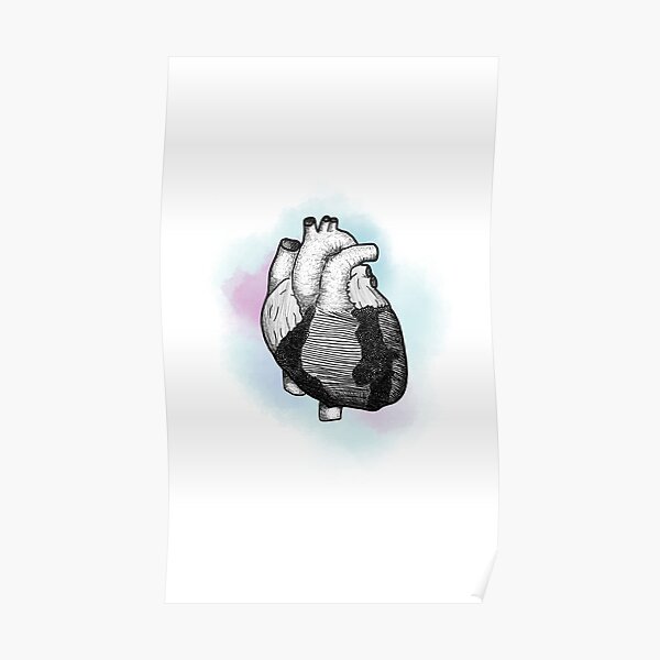 Anatomical Water Color Heart Poster