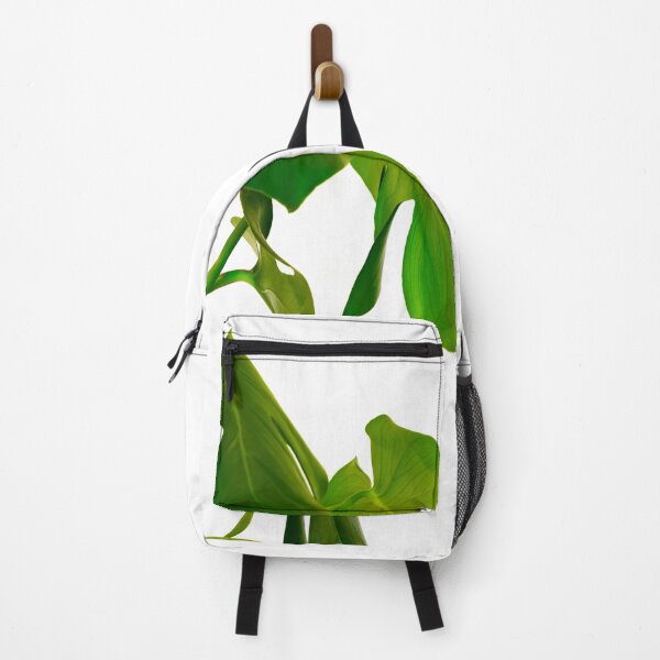 Item preview, Monstera pot plant with leaves in casual fashion in white pot isolated on white background. designed and sold by Brian Scantlebury.