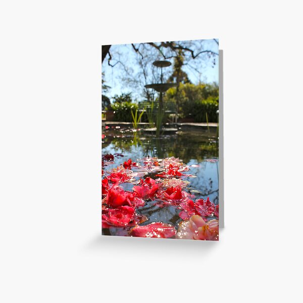 'Lillies @ Buda' Castlemaine Victoria, Australia Greeting Card