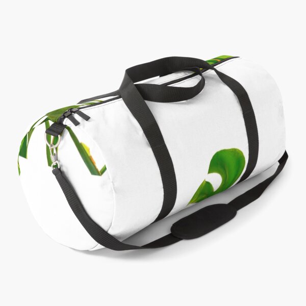 Item preview, Monstera  green leaves and stems in casual fashion selective isolated on white background. designed and sold by Brian Scantlebury.