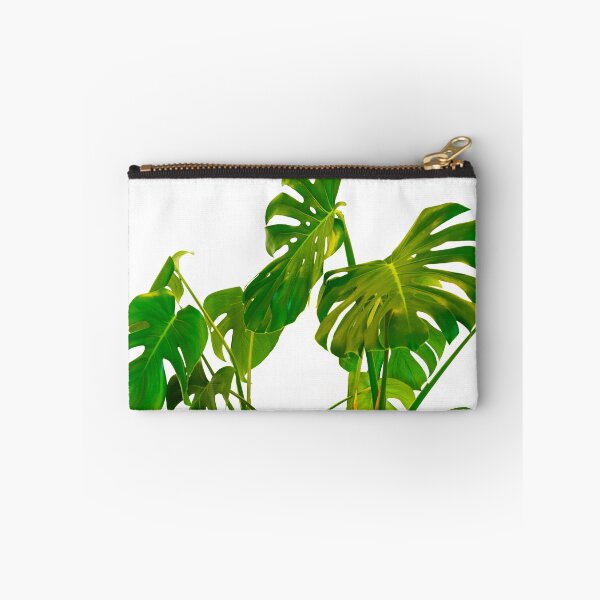 Item preview, Monstera  green leaves and stems in casual fashion selective isolated on white background. designed and sold by Brian Scantlebury.