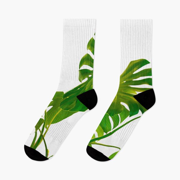 Item preview, Monstera  green leaves and stems in casual fashion selective isolated on white background. designed and sold by Brian Scantlebury.