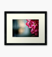 Happiness is...sometime waiting someone...Got 3 Featured Work Framed Print