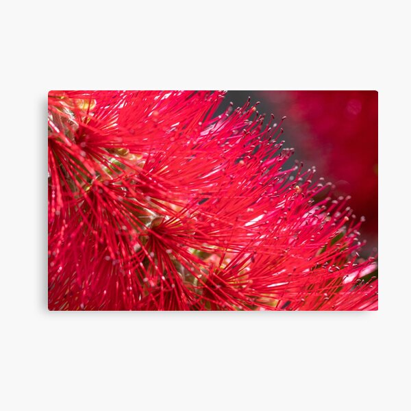 Item preview, Red Flora designed and sold by Dave Hare.