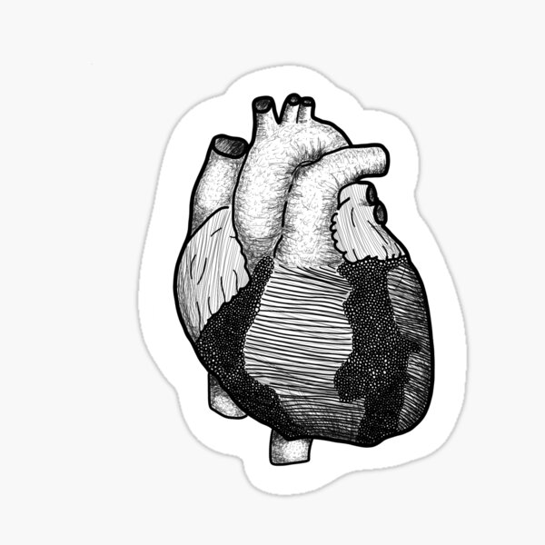 Anatomisches Herz Schwarz Weiss Sticker