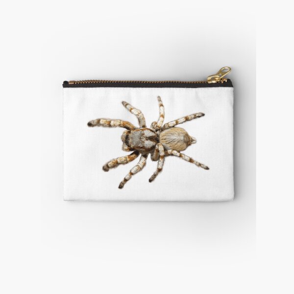Item preview, Spider crawl designed and sold by lacm2020.